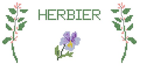 RENDU FINAL -HERBIER AU POINT DE CROIX