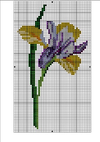 DIAGRAMME - IRIS AU POINT COMPTE