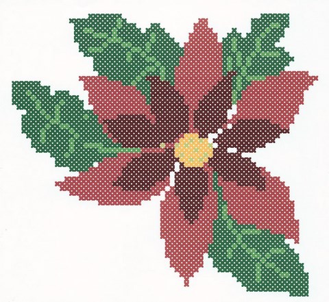 RENDU FINAL - POINSETTIA AU POINT COMPTE