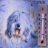 Ardoise - Techniqe Pas à Pas
