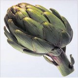 ARTICHAUT - CYNARA SCOLYMUS - CONSEILS PRATIQUES