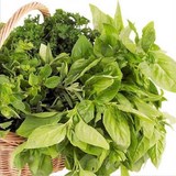 PESTO - SAUCE ITALIENNE AU BASILIC - RECETTE GOURMANDE