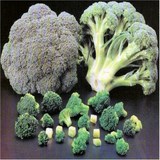 BROCOLI - BRASSICA OLERACEA Variété ASPARAGOIDES - BIEN L'UTILISER EN CUISINE