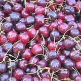 CERISES ILLUSTRANT CALENDRIER DU MARCHE EN JUIN