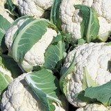 TARTE AU CHOU-FLEUR - Les légumes en cuisine