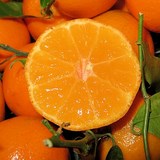 CLEMENTINE - CONSERVE - RECETTE GOURMANDE AVEC ALCOOL