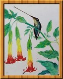 COLIBRI AUX AGUETS