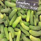 CORNICHONS AU VINAIGRE - Les légumes en cuisine