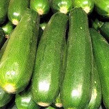 COURGETTE - CUCURBITA PEPO - FLEUR COMESTIBLE