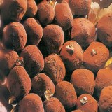 TRUFFES A LA CARDAMOME - RECETTE DETAILLEE ET FACILE