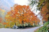 LA CROISEE DES CHEMINS