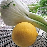 FENOUIL A L'ORANGE - Les légumes en cuisine