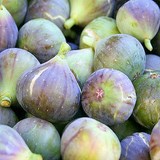 FIGUES ILLUSTRANT CALENDRIER DU MARCHE EN OCTOBRE