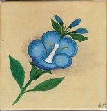 FLEUR BLEUE