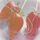 FRAISETTE - Sucette à la fraise