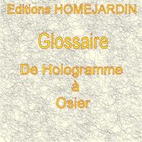 Glossaire d'Hologramme à Osier