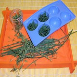 HERBES AROMATIQUES - LA CONSERVATION