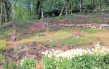 UN APERCU DE LA PARTIE FLEURIE DE LA COLLINE