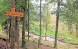 VUE DU JARDIN DEPUIS LE SENTIER DE LA COLLINE