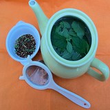 VEGETAUX et SANTE - INFUSIONS, TISANES, DECOCTIONS - PRESENTATION