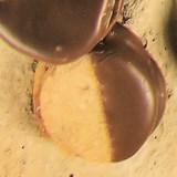 MACARONS CHOCOLAT ET CONFITURE DE FRAMBOISES - RECETTE GOURMANDE