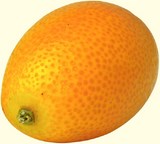 Compotée de kumquat