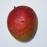 MANGUE ou MANGIFERA INDICA - BEURRE VEGETAL