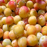 MIRABELLES - COUPE AU VIN BLANC - RECETTE GOURMANDE