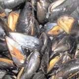 MOULES MARINIERES - RECETTE GOURMANDE