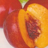 NECTARINE FARCIE AU RIZ AU LAIT - RECETTE GOURMANDE