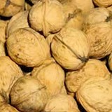 NOIX - JUGLANS REGIA - CONSEILS PRATIQUES