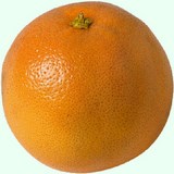 VITAMINE B1 - THIAMINE