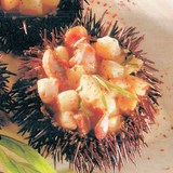 OURSINS AUX COQUILLES SAINT JACQUES - RECETTE EXQUISE ET RAFFINEE
