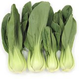 PAK-CHOI - BRASSICA RAPA variété CHINENSIS - CONSEILS PRATIQUES