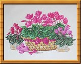 PANIER DE CYCLAMEN