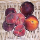 PECHE - CONFITURE AU RHUM