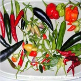 CREME SUCREE AU PIMENT - Les légumes en cuisine