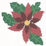 POINT COMPTE - POINSETTIA