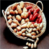 POMME DE TERRE - SOLANUM TUBEROSUM - CONSEILS PRATIQUES