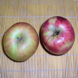 RECETTE DE LA POMME D'AMOUR - RECETTE GOURMANDE