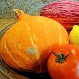 GRATIN DE POTIMARRON - Les légumes en cuisine