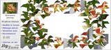 ALSTROEMERE PERROQUET - PIECES DE PUZZLE EN FORME D'OISEAU