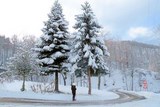 LEURS MAJESTES DANS LA NEIGE