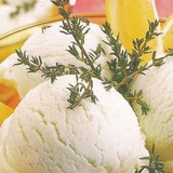 SORBET AU THYM CITRON - RECETTE GOURMANDE