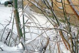 STALAGTITES OU STALAGMITES ,