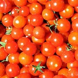 TARTE AUX TOMATES CERISE