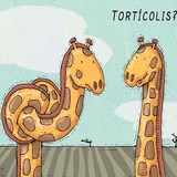 TORTICOLIS - PETIT BOBO